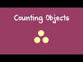 Counting Objects