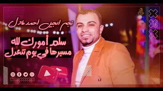 كروان الصعيد ماشي الأصيل تلاقي الخير مالي قلبه دندنها