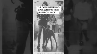 The Doberman Who Gave Women Their Freedom Back #fyp #pets #doberman #vlog