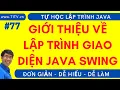 Java 77 Introduction to Java Swing Interface Programming Java Programming