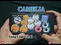 Download Lagu YANG LAGI VIRAL CAMELIA || COVER REAL DRUM KENDANG RAMPAK JAIPONG