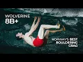 Download Lagu Wolverine 8B+ | Noorwegens beste klimbos | Adam Ondra