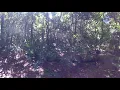 Sweetwater Preserve
