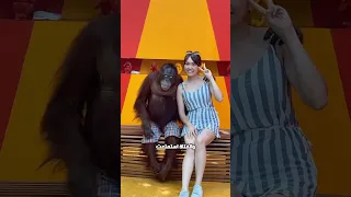 قرد يقب ل الفتاة أثناء التصوير ترند اكسبلور Viralvideo  قرد يقب ل الفتاة أثناء التصوير ترند اكسبلور Viralvideo