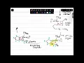 Chem 252 Lecture 11 Part 1 Ring Closing Metathesis II