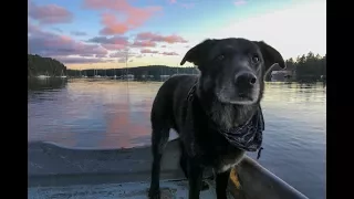 Champ’s Birthday – Sink or Swim 38