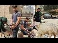 Download Lagu 🐑 Summer Heat Survival: Saleh's Journey to Bathe Sheep \u0026 Discover Village Cleanliness 🌾❤️