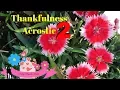 Thankfulness Acrostic 2