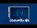 Lagu Nikki mbishi - Utaniambia nini (Official Audio)