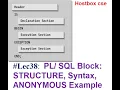 PL SQL Block STRUCTURE Syntax ANONYMOUS Example Hostbox cse
