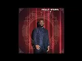 Fally Ipupa - SL (Audio Officiel)