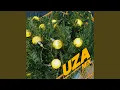 Lagu UZA (Sped Up)