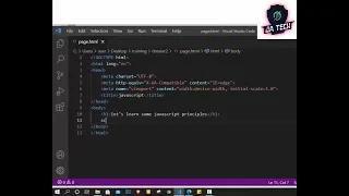 JavaScript document write
