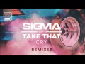 Lagu Sigma ft Take That - Cry (Steve Smart Extended Mix)