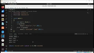 How to implement exec system call using C program