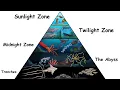 The Most Disturbing Creatures in Each Ocean Layer