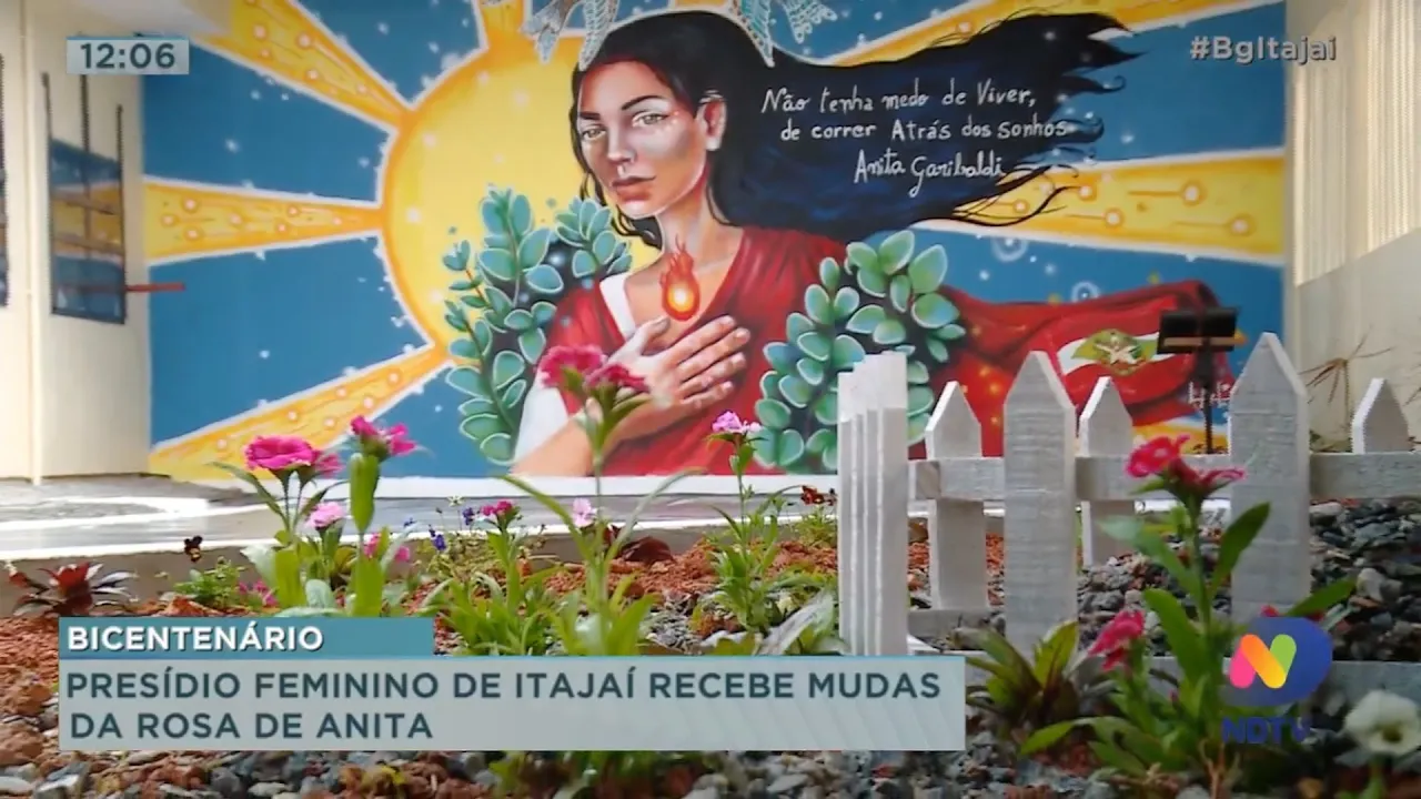 Presídio feminino de Itajaí recebe mudas da Rosa de Anita