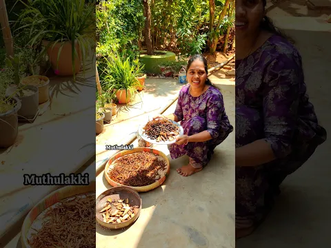 ✨minivlog#719💁கிராமப்புறத்தில் இதுதா சமைப்போம்🤗 #shorts #shortsfeed #trending #viral #muthulakki
