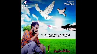ارحل ياحمام  ارحل ياحمام