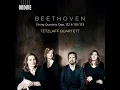 String Quartet No. 13 in B-Flat Major, Op. 130 (1825 Version): V. Cavatina. Adagio molto espressivo - Tetzlaff Quartett & Ludwig van Beethoven