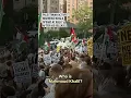 Download Lagu Palestinian activist Mahmoud Khalil speaks at rally after his release