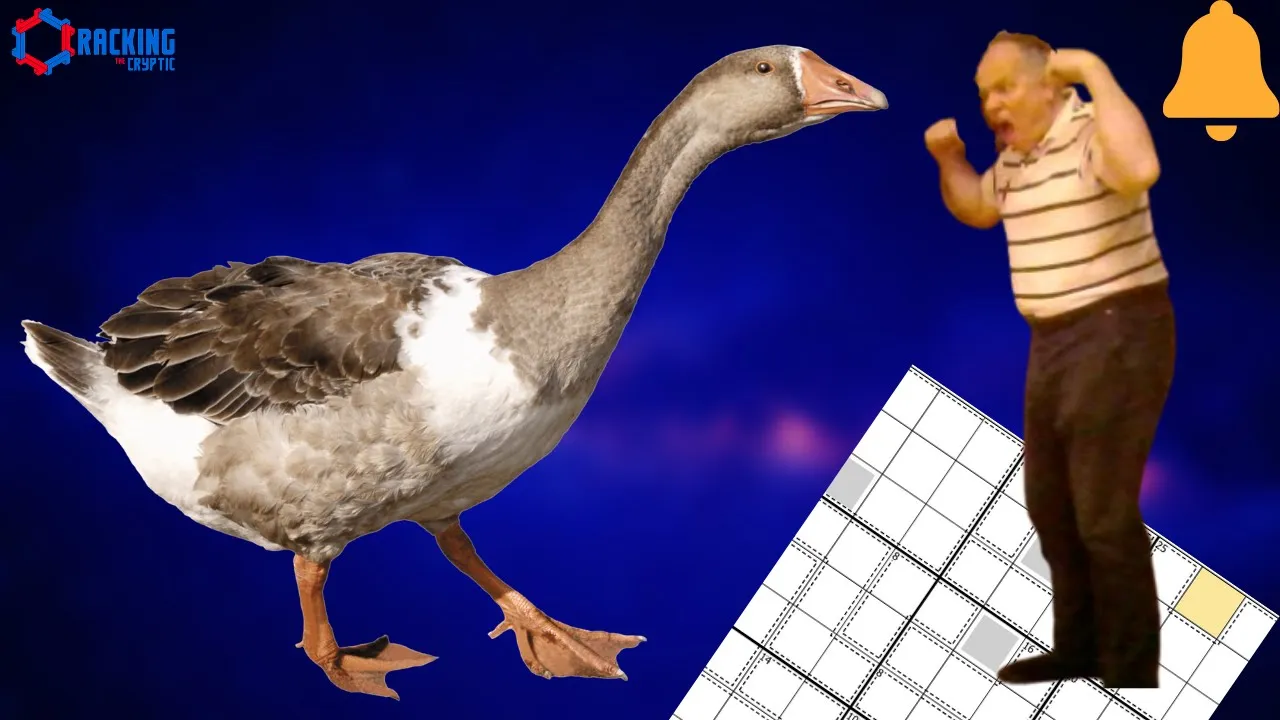 Sudoku: The Wild Goose Chase
