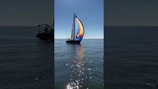 Peanut Regatta 47 on Galveston Bay #shorts