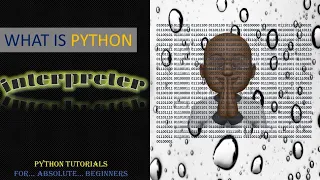 PYTHON TUTORIAL Python interpreter