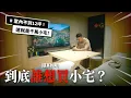 Download Lagu 新家開箱｜室內12坪！到底誰要買小宅？看完才知道是這樣！｜突襲觀眾EP49