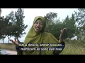 Download Lagu PETUAH GURU EL-SURAYA COVER SILVIA DURI