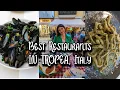 Tropea Food Guide Street Food Calabrian Delicacies