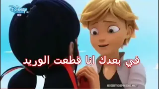 اغنيه   يا روح الروح ما بعدك روح   على الدعسوقه والقط الأسود دندنها