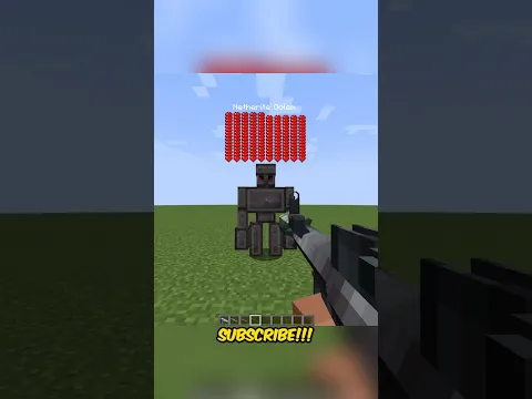How Many BULLETS Does It Take To Kill the NETHERITE GOLEM ?