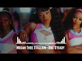 Megan Thee Stallion - Roc Steady (feat. Flo Milli) [Official Video]
