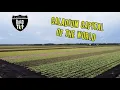 Discover Lake Placid The Caladium Capital of the World Florida Road Trip Season 10