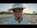 Alan Wittels - Mariposas