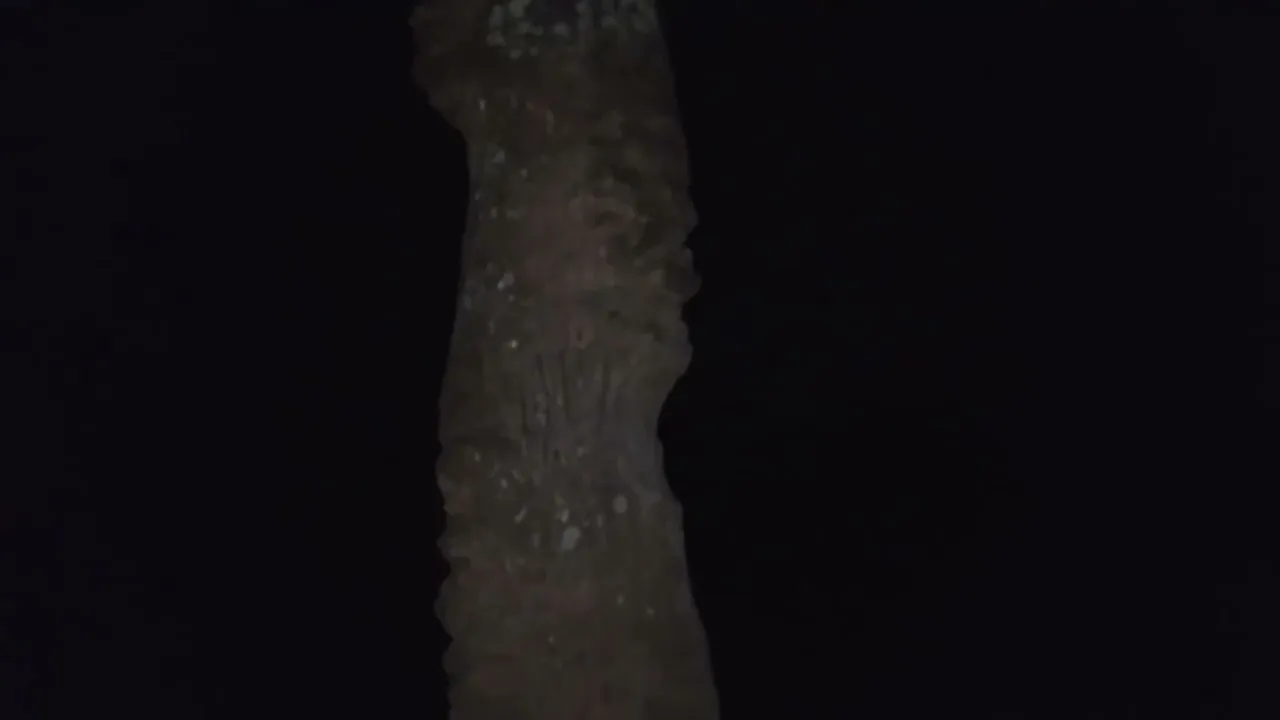 Live Ghost Hunter