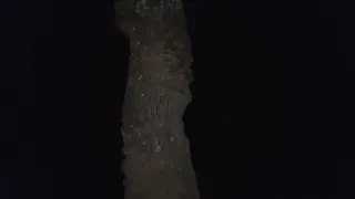 Live Ghost Hunter