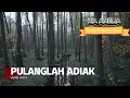 Lagu Lagu Minang Rock | Pulanglah Adiak / Uda Rock - Ria Amelia [Cover Ai Minang Core]