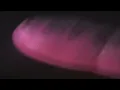 Underworld - Beautiful Burnout (Music Video) (1080p HD)