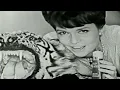 Retro Top Brass Hair Dressing Commercial 60s Barbara Feldon
