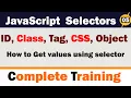 JavaScript Selectors ID Class Tag CSS Object Also Learn How to Get Values Using these