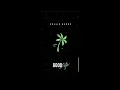 collie buddz control