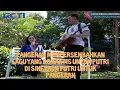 Download Lagu Pangeran Mempersembahkan Lagu Yang Romantis Untuk Putri Di Sinetron Putri Untuk Pangeran