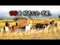 Download Lagu 🥇 이 영화와 감독은 널리 알려져야 합니다..! (결말포함)