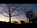 美女と野獣「朝の風景(belle)」吹替フル