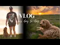 Goldendoodle Breeder My day to day puppy update dog food
