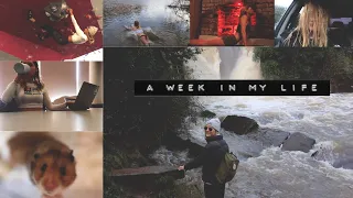 A Week in My Life: Swansea University. WINTER EDITION. No. 15.