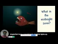 Habitats Ocean