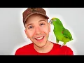 Nikocado Avocado Tricked The Entire Internet
